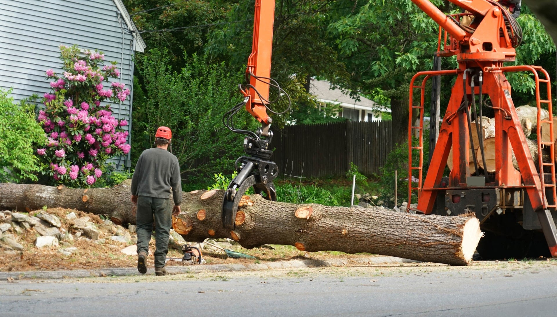 Local partner for Tree removal services in Nassau County