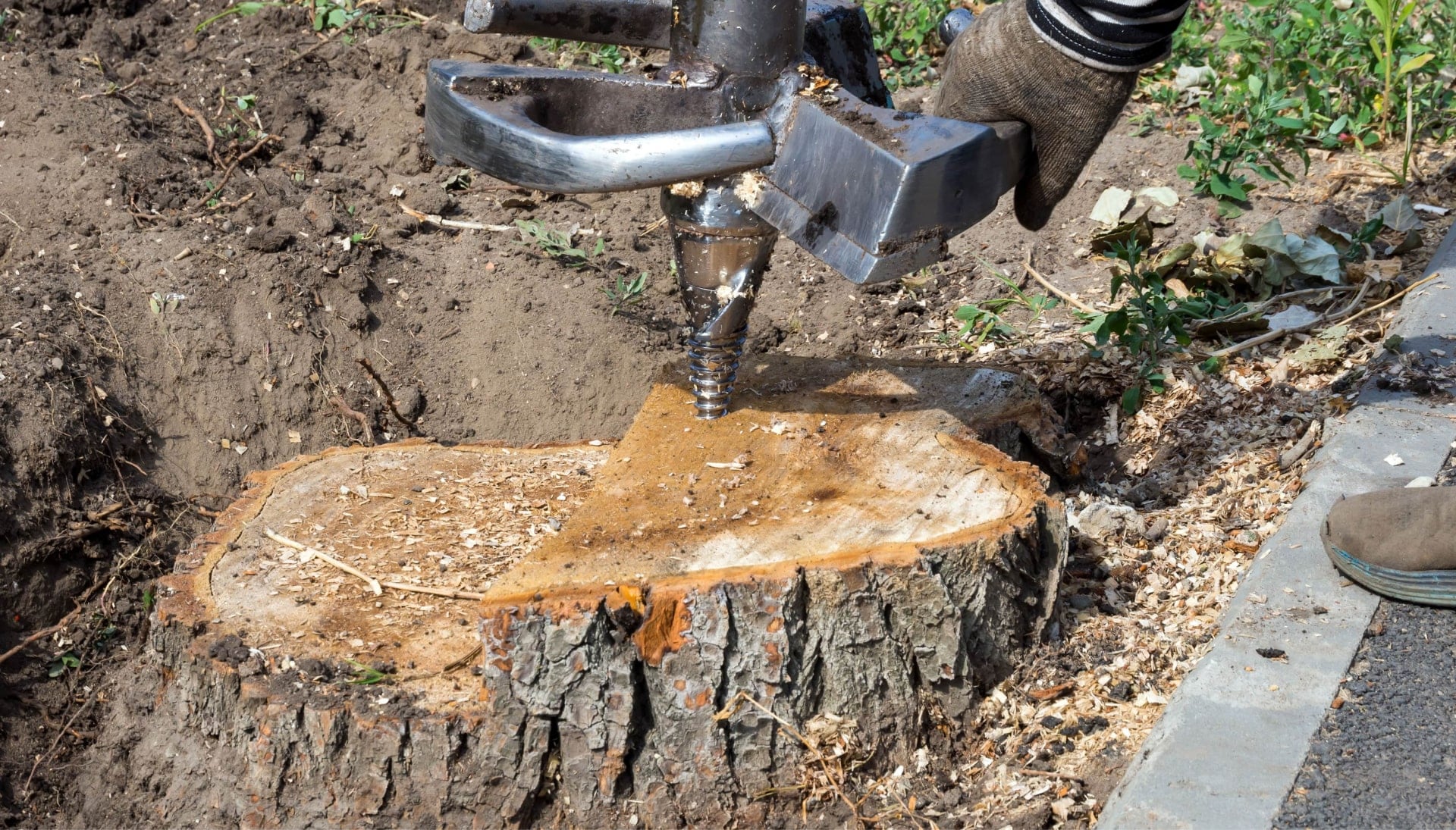 Nassau County Tree stump removal